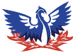 Phoenix Engineering Services logo